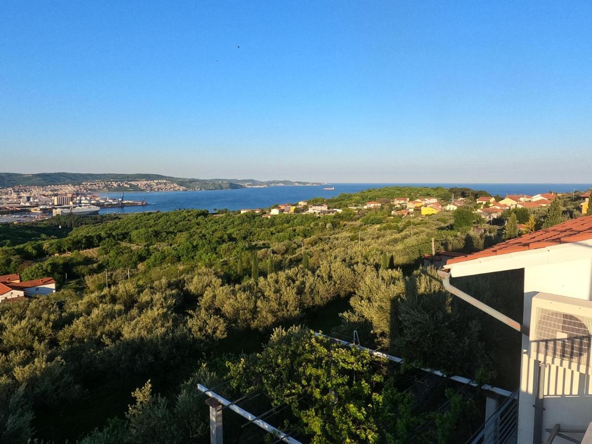 Апартаменты House Among Olive Trees With A Sea View 1 Анкаран Экстерьер фото