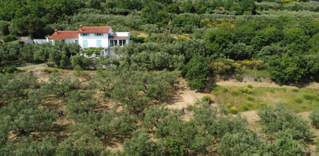 Апартаменты House Among Olive Trees With A Sea View 1 Анкаран Экстерьер фото